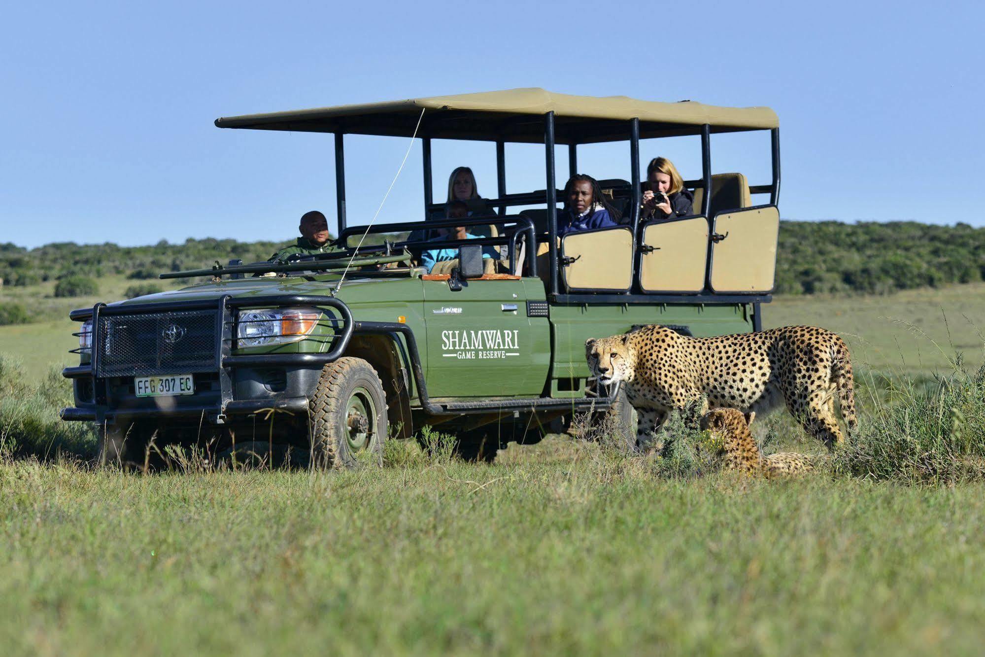 Shamwari Game Reserve Port Elizabeth Exterior foto